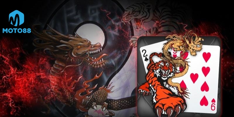 Khuyến Mãi Và Hỗ Trợ Dành Riêng Cho Người Chơi Rồng Hổ