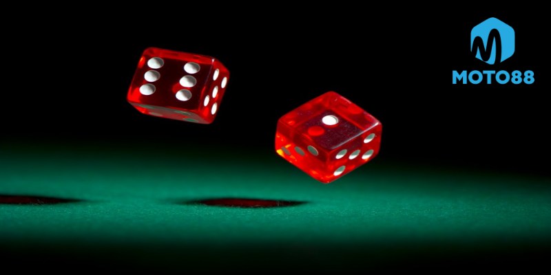 Lưu Ý Khi Chơi Game Xúc Sắc Phú Quý Moto88