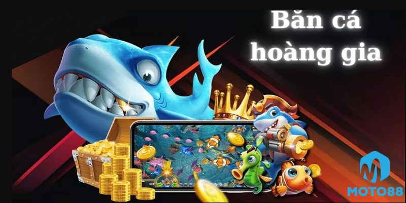 Phân Loại Cá Và Mức Thưởng