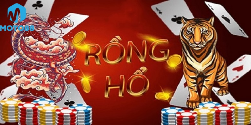 Tổng Quan Về Rồng Hổ Tại Moto88